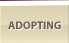 Adopting